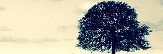 fal_atla's profile banner image