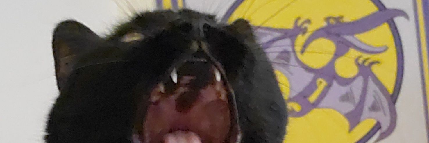 jamboureee's profile banner image
