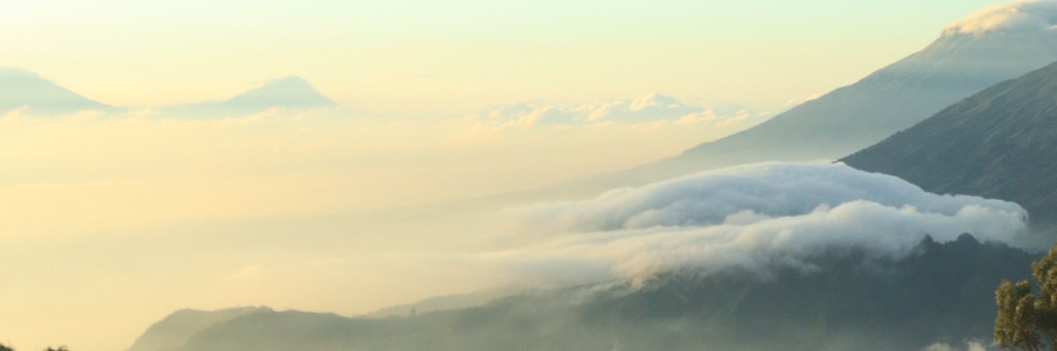 ranisrun's profile banner image