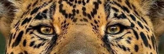 Mandlangu's profile banner image