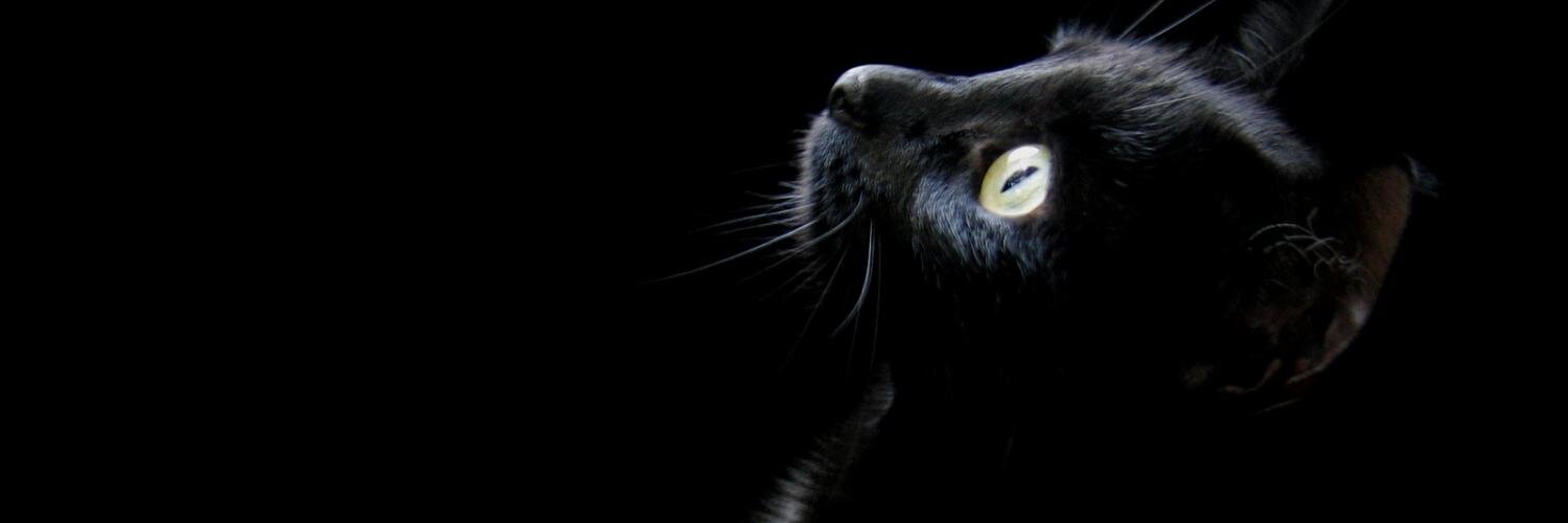 _fatalba's profile banner image