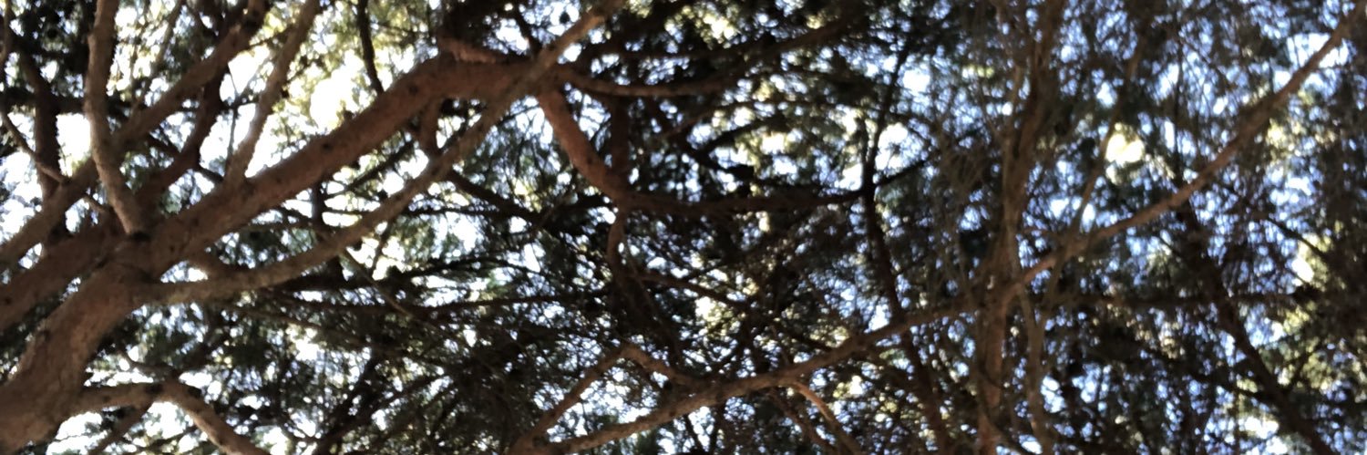 PaigeHunte's profile banner image