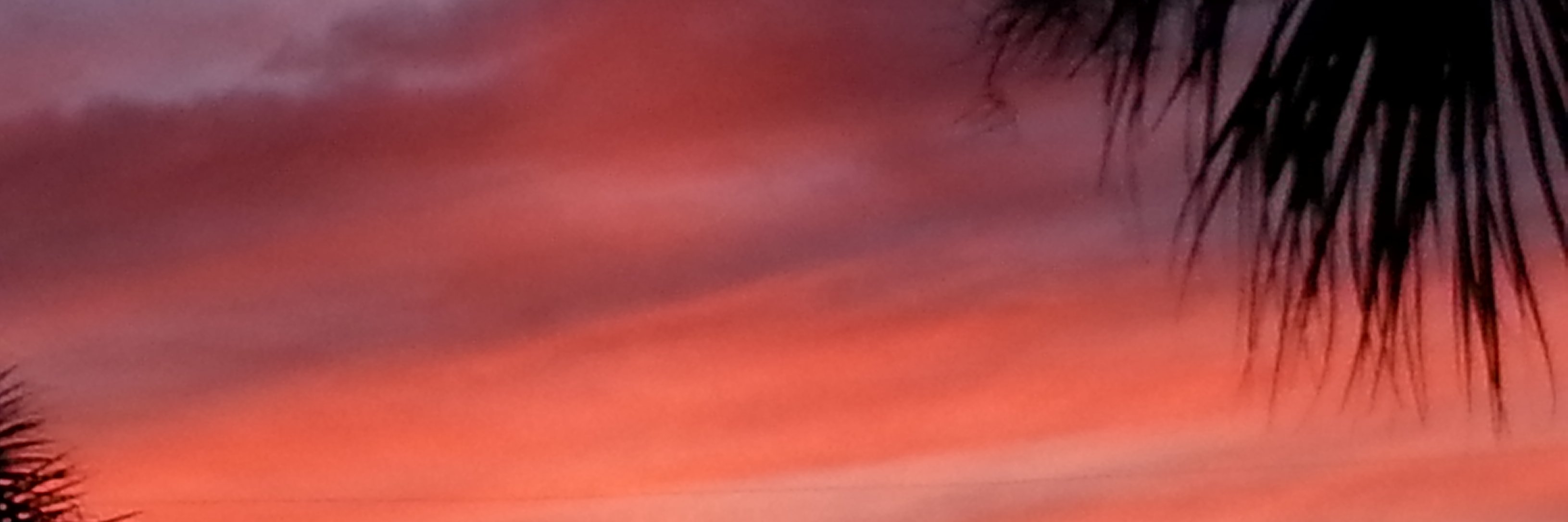 juskurius's profile banner image