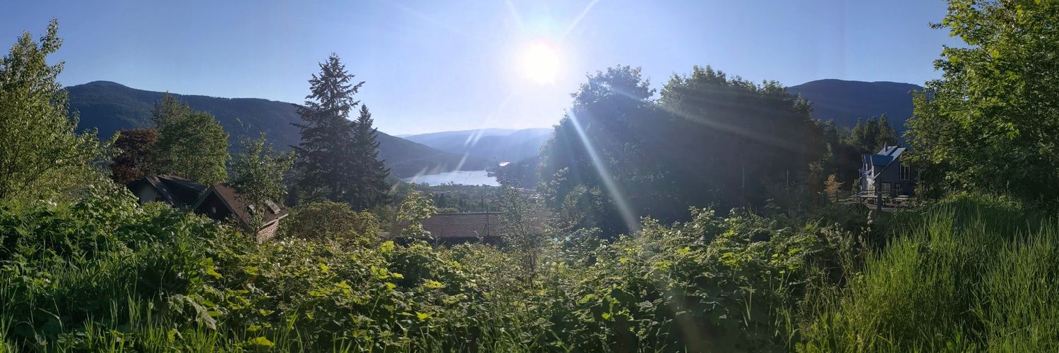 Macarena Carrizosa banner