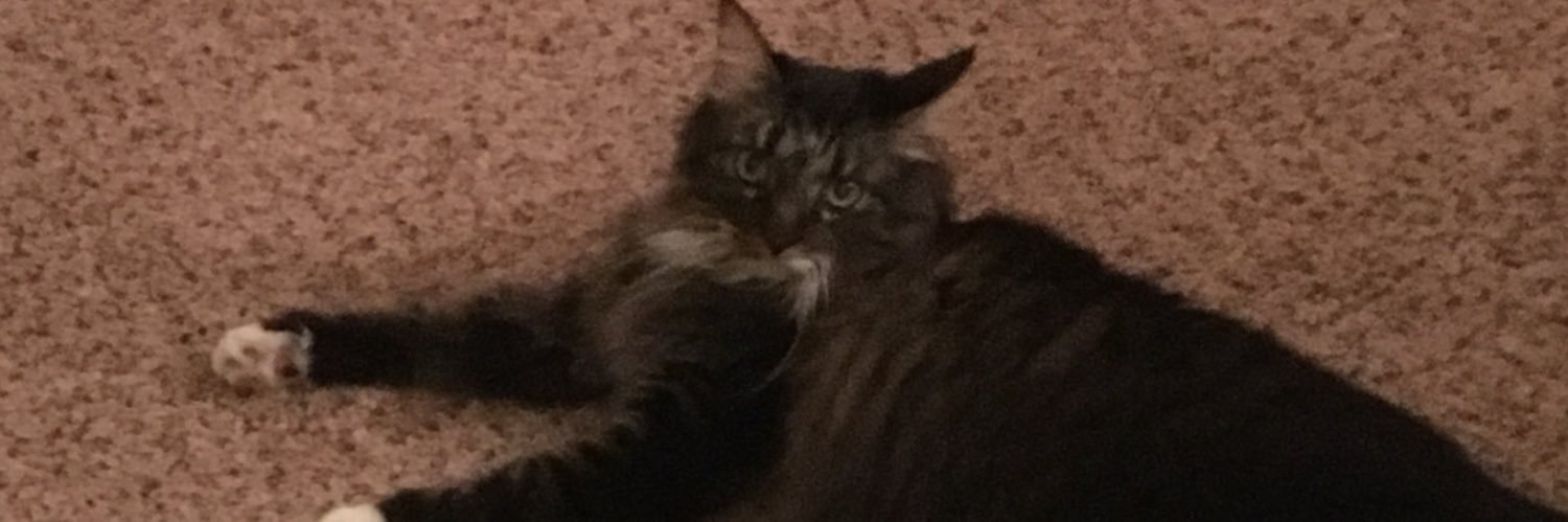 BigJoelyI's profile banner image