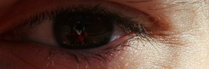Celiia14Lopez's profile banner image