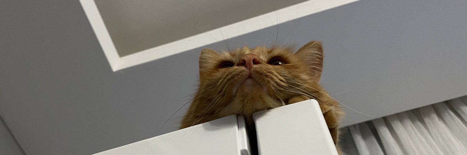 fedolse's profile banner image