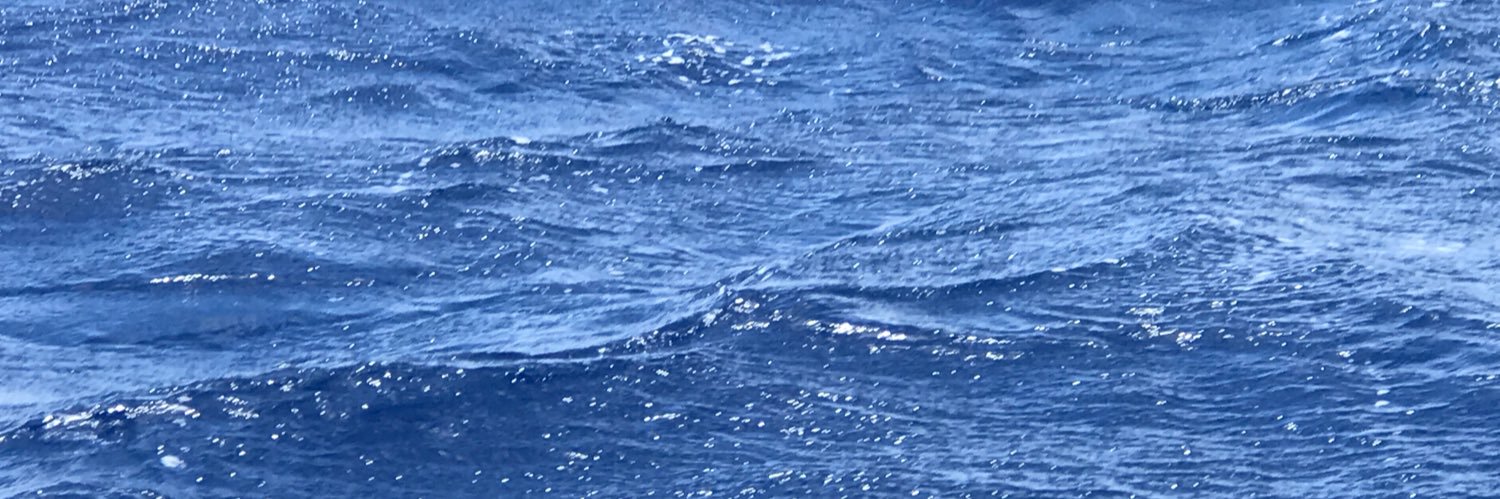 Nick Krasnikov banner