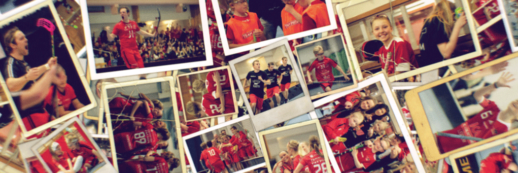 FBC Lerum banner