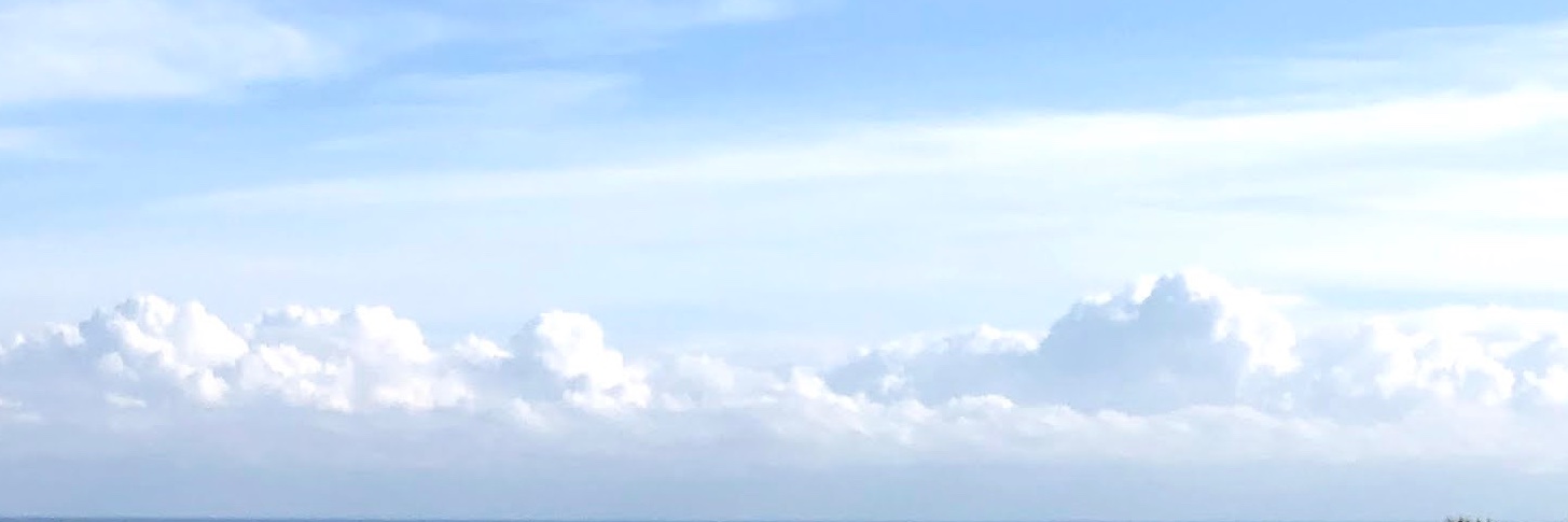 Sofiaservera98's profile banner image