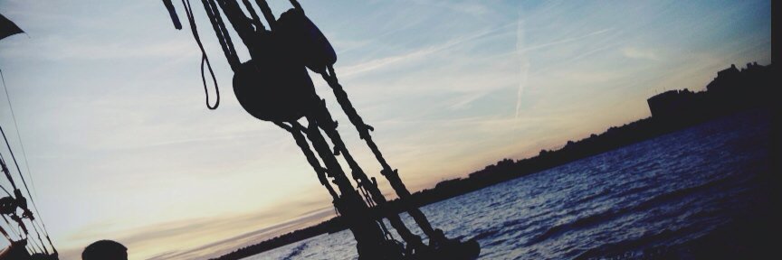 Pinapeloverone's profile banner image