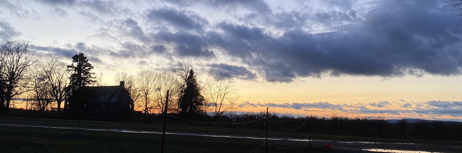 renee_2503's profile banner image