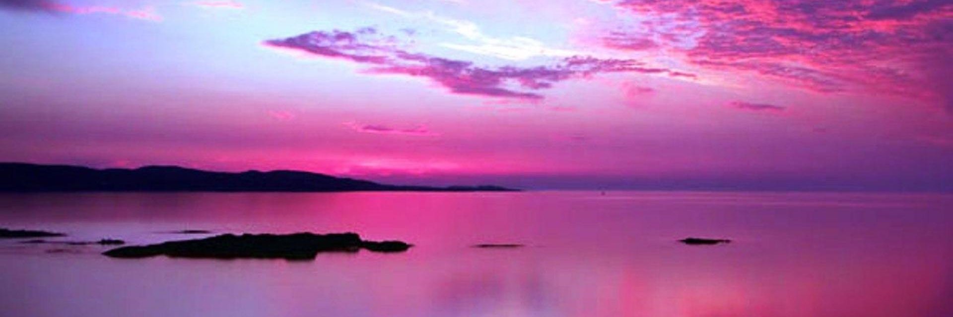 cherry berry 🌹 banner