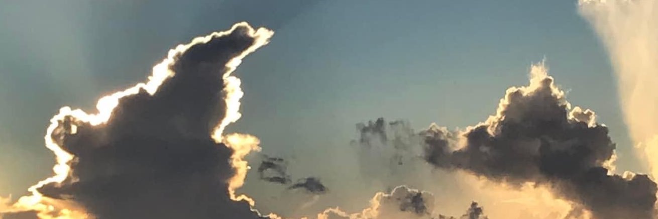 kelseagee's profile banner image