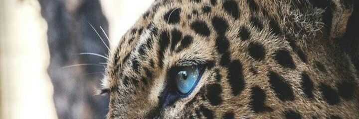 ParhiyarSp's profile banner image