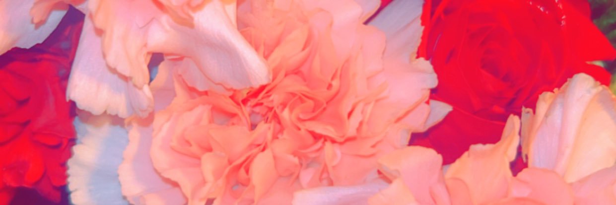 brinanapudding's profile banner image