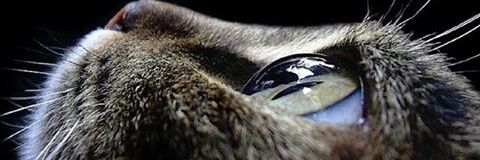 buseesoyak's profile banner image