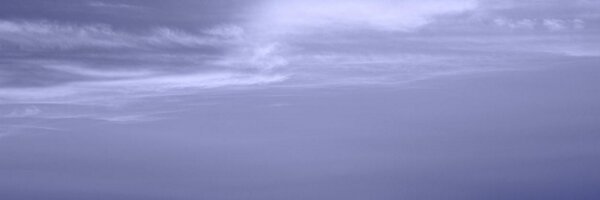 pabuckie Profile Banner