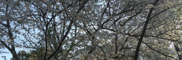 thereubeh Profile Banner