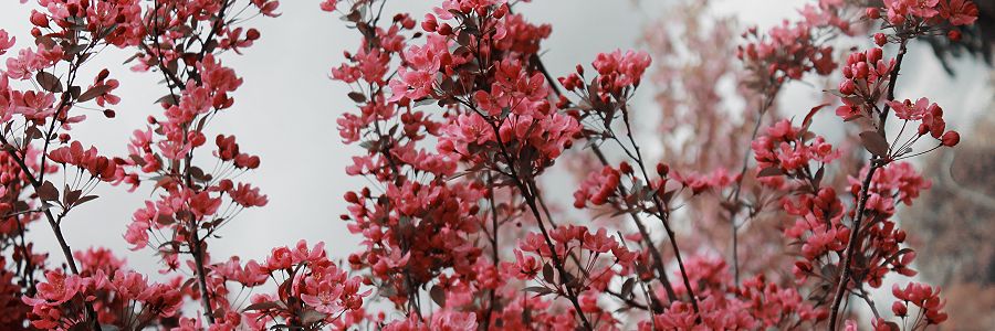 AlexandraLeal00's profile banner image