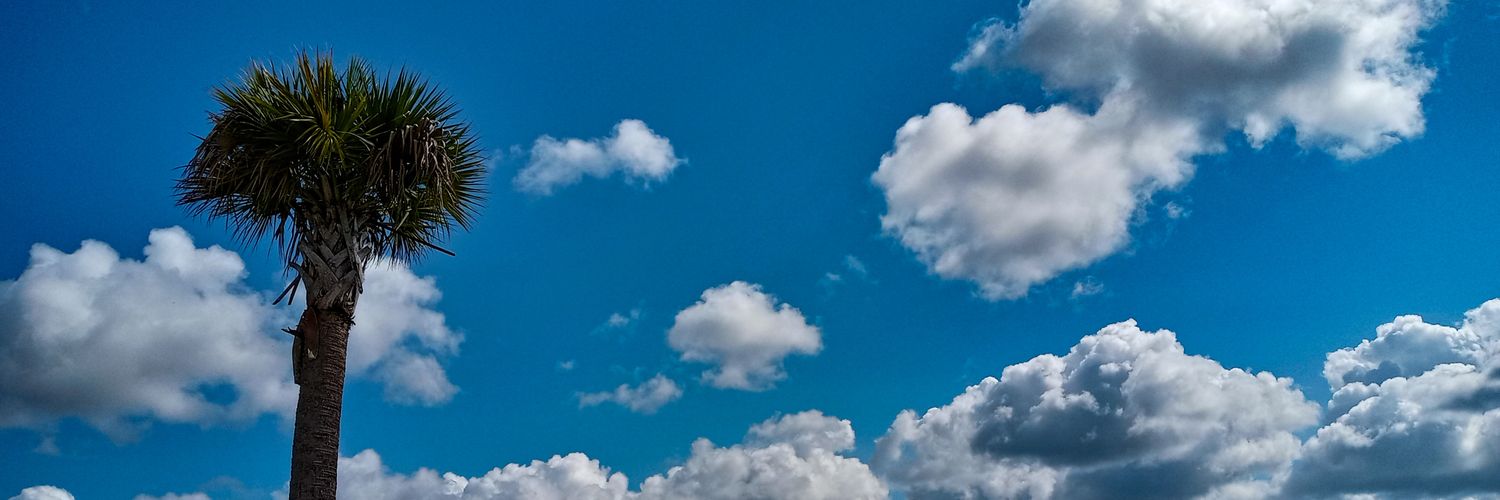 TrinityMichael's profile banner image