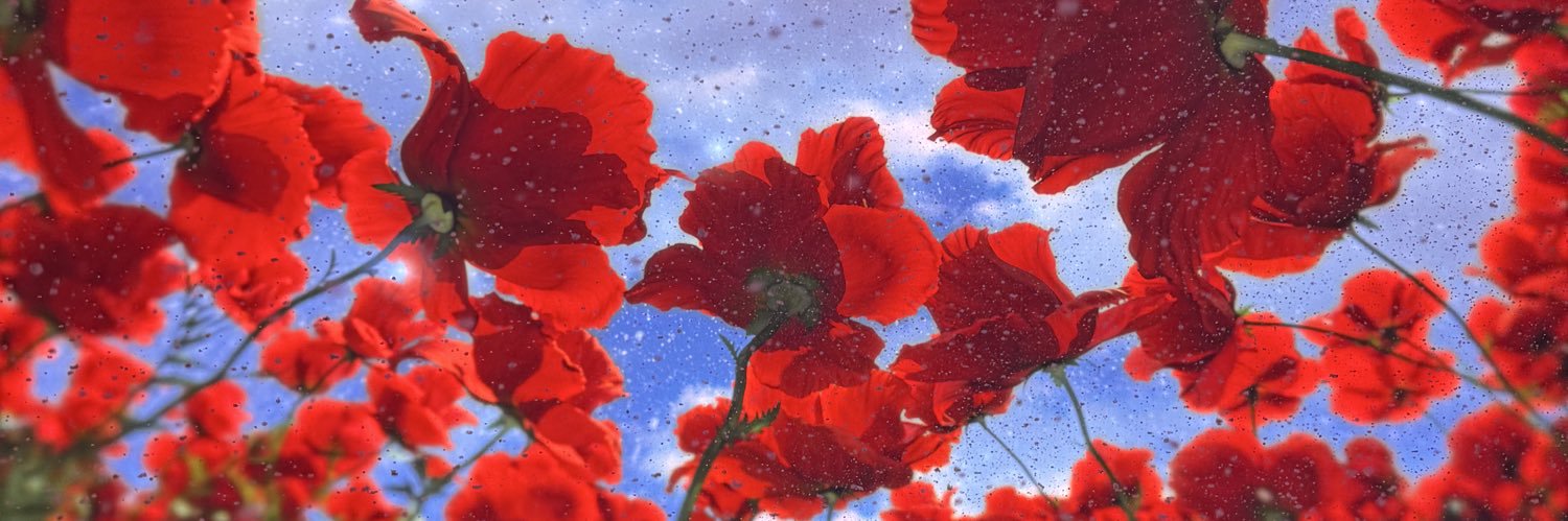 CallMe_Dad's profile banner image