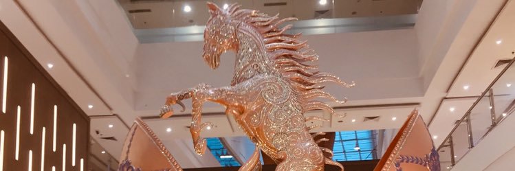 dipaliblaskar's profile banner image