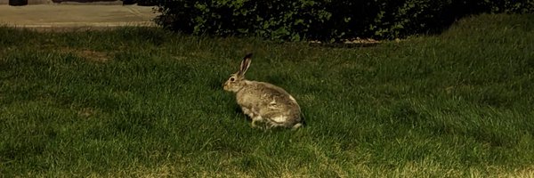 froubery Profile Banner