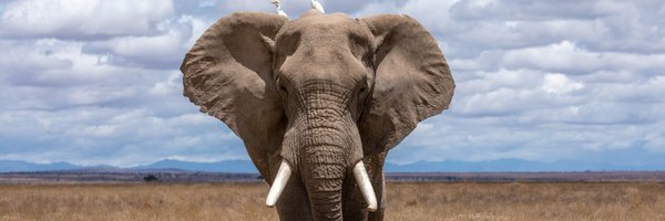 TheWegi Profile Banner