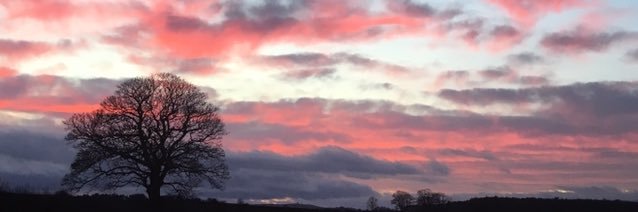 sallybrewis's profile banner image