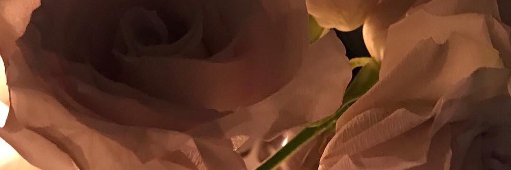 0ysterluvr's profile banner image