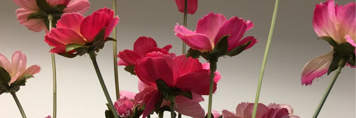 FineWhatev's profile banner image