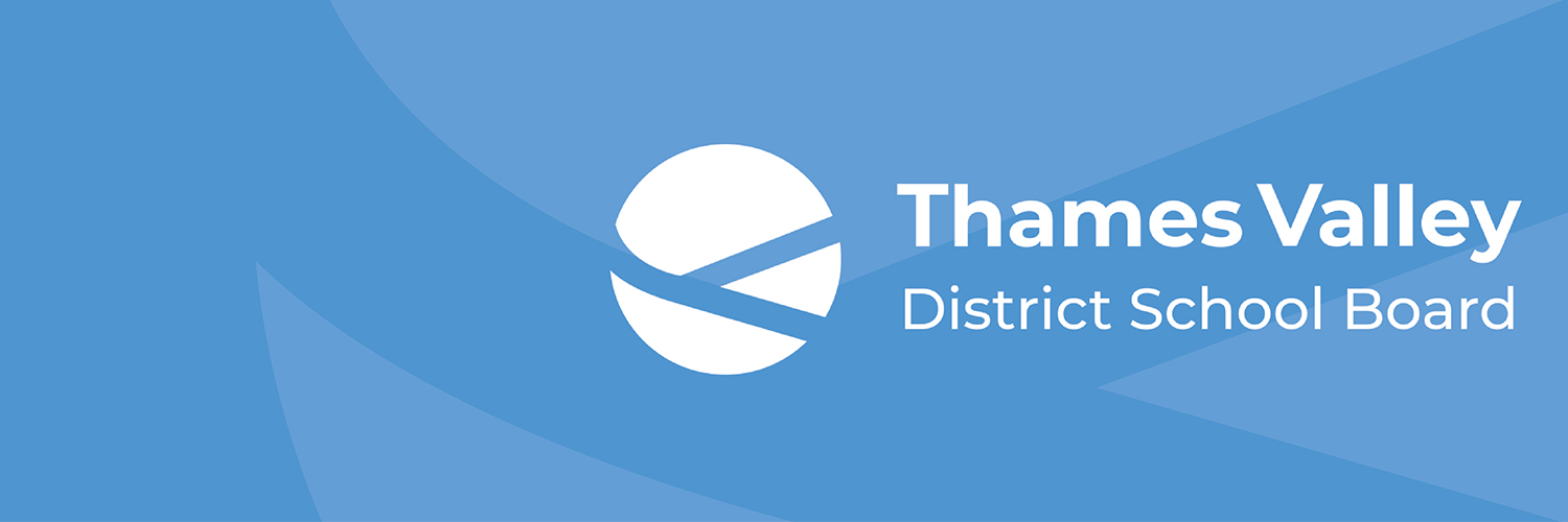 Thames Valley DSB banner