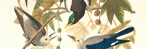 rdhasler Profile Banner
