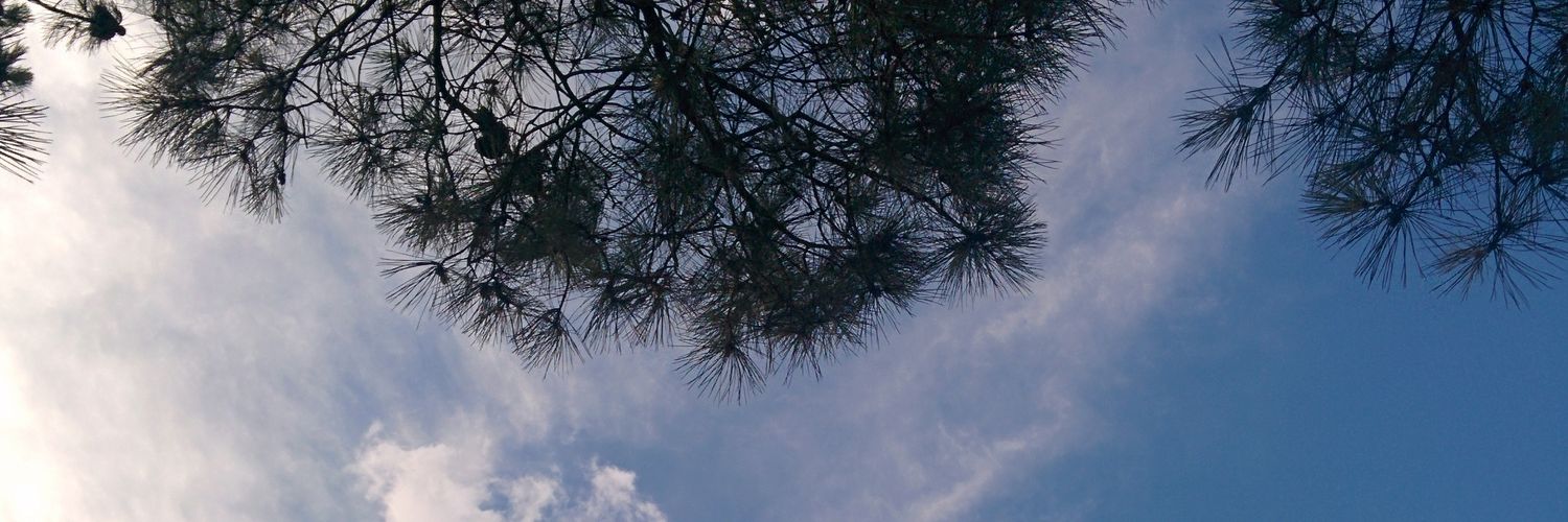 Ramón Carrillo banner