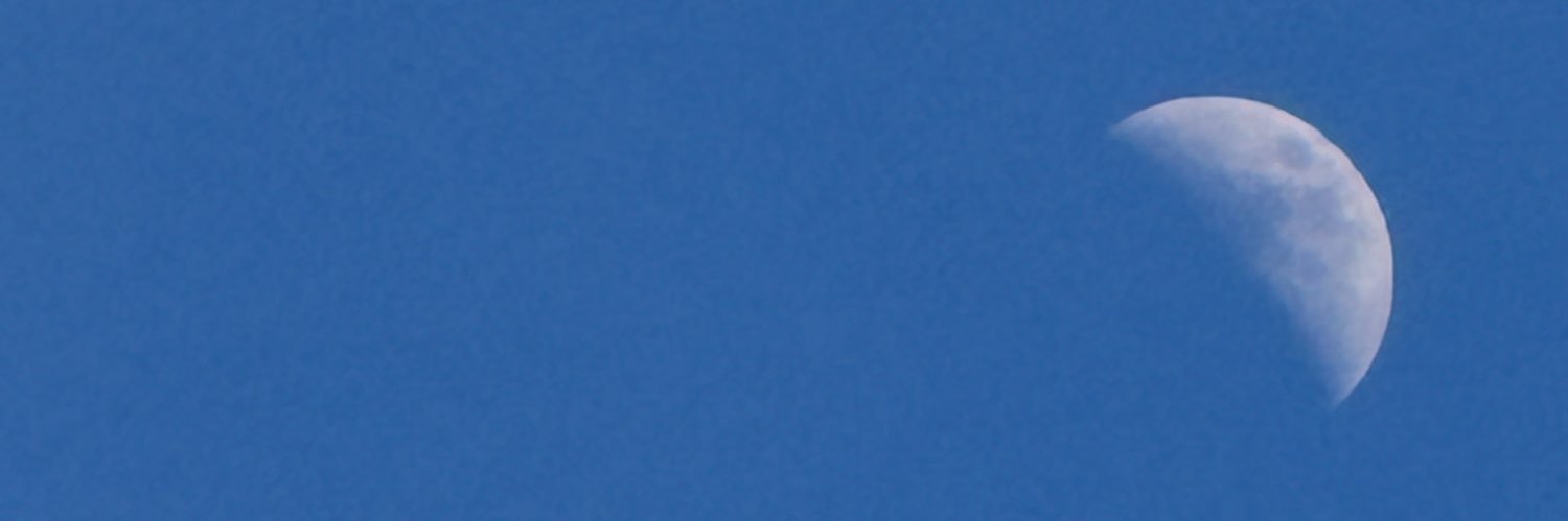 mirandawebbart's profile banner image