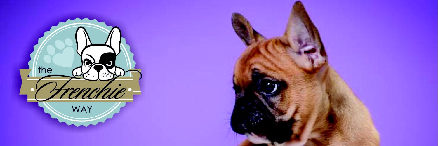 thefrenchieway's profile banner image