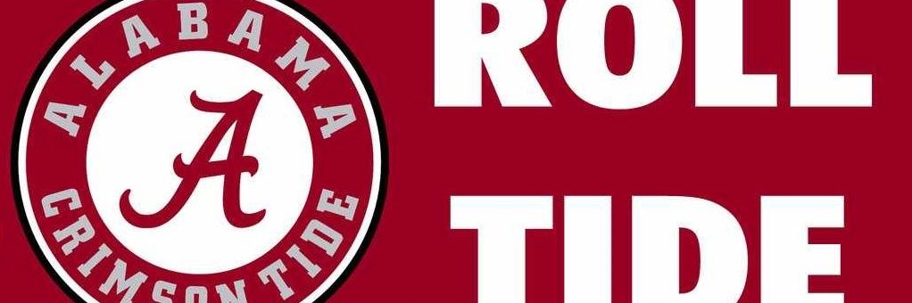alee1919's profile banner image