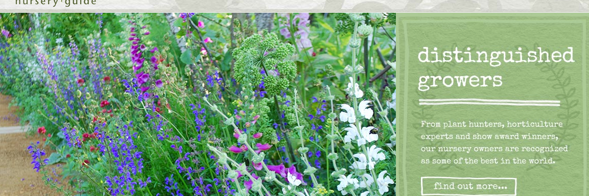 BritishPlants's profile banner image