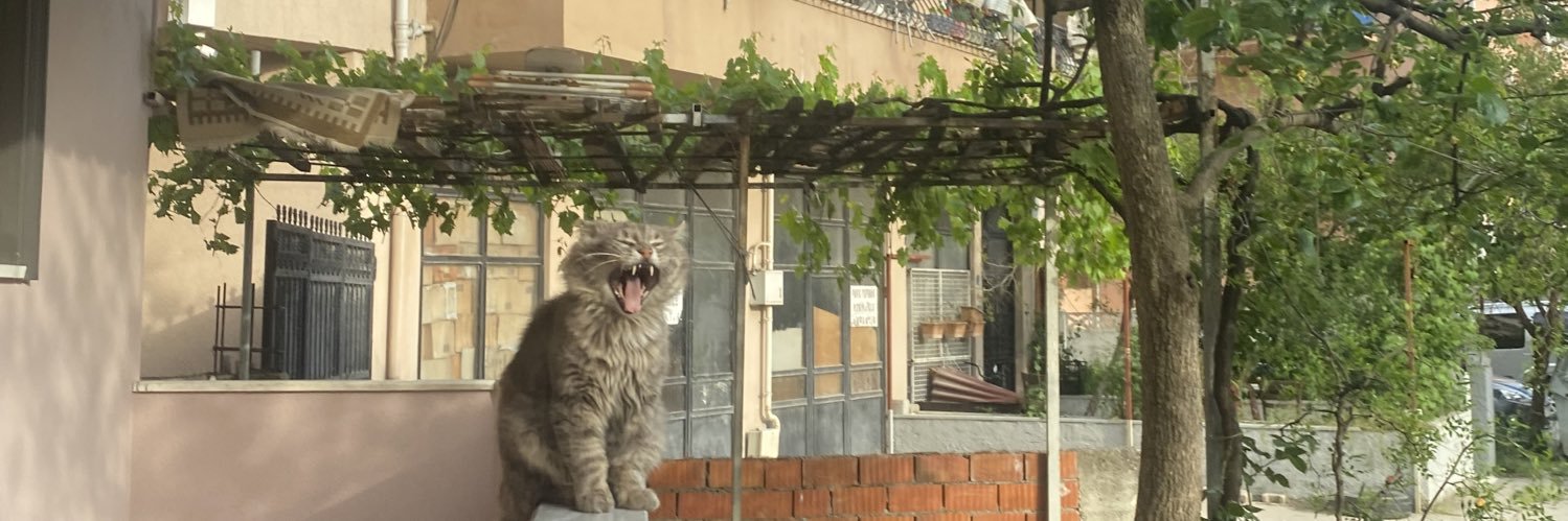 fettanus's profile banner image