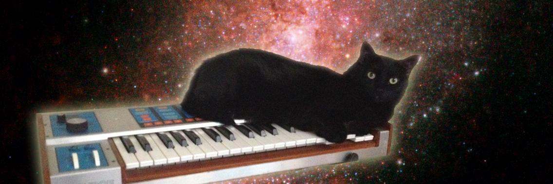 kittysamba's profile banner image