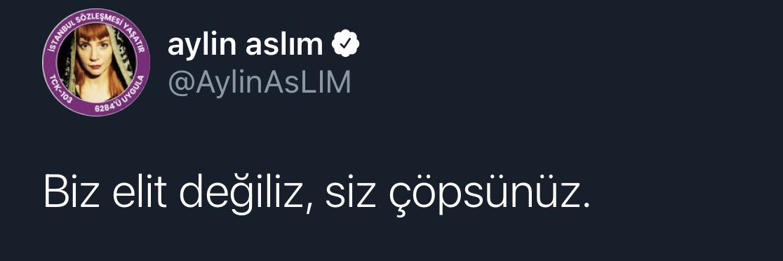 felsefecimsi's profile banner image