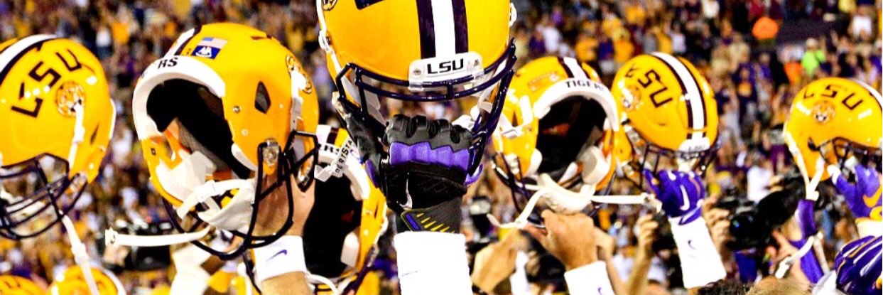 Taylor Halsey banner