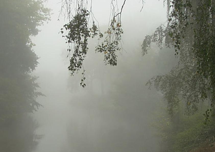 mpentysit's profile banner image
