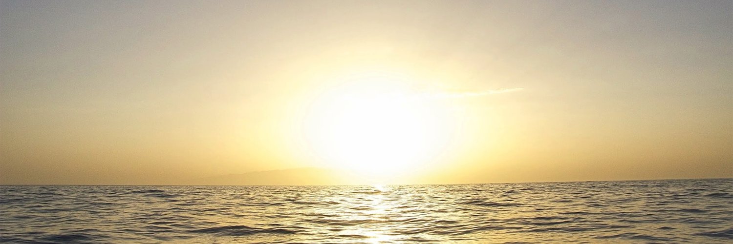 srossaint's profile banner image