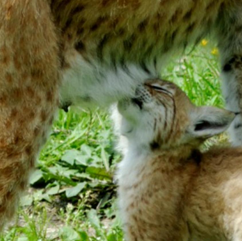 esefroco's profile banner image