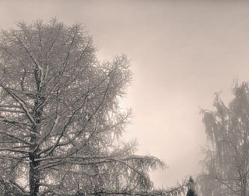 onpali's profile banner image