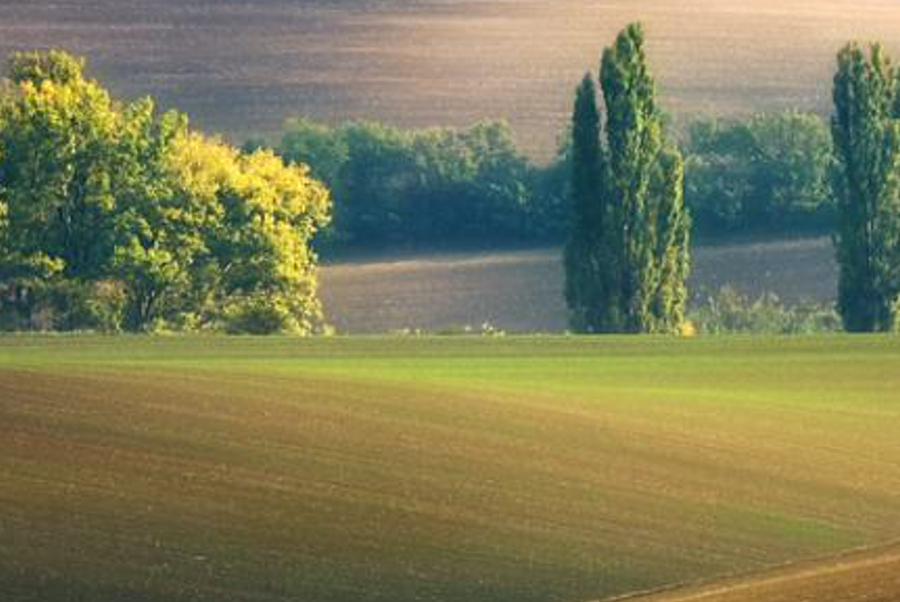 iaettrulo's profile banner image