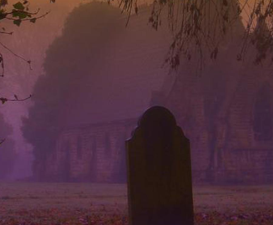 edtacti's profile banner image