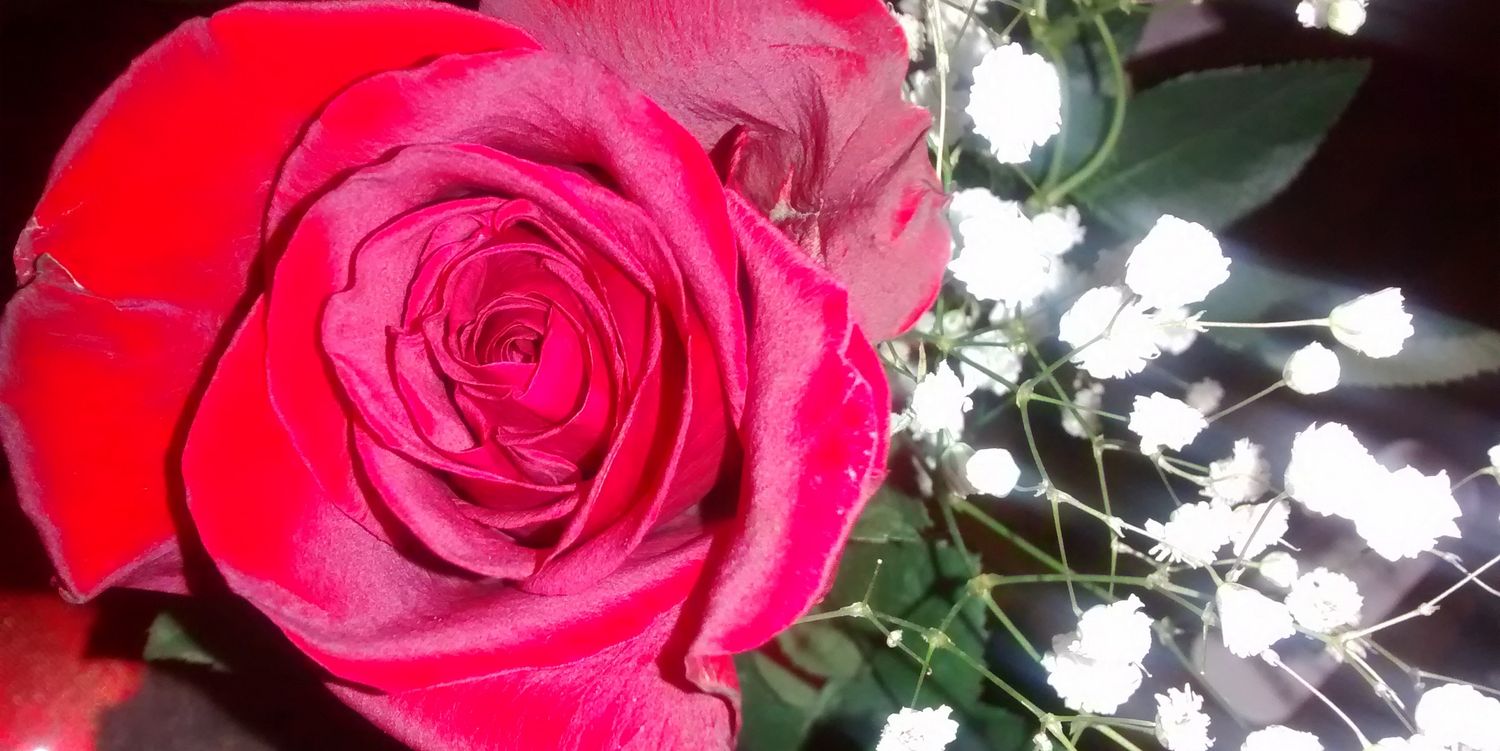 TiffanySherry's profile banner image